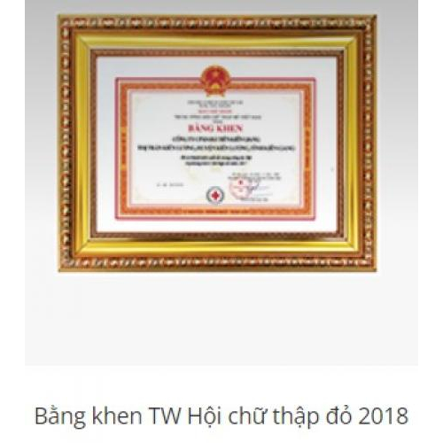 IV. Thành tựu đạt được